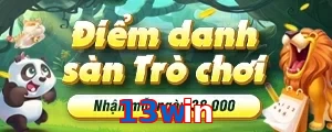 13win